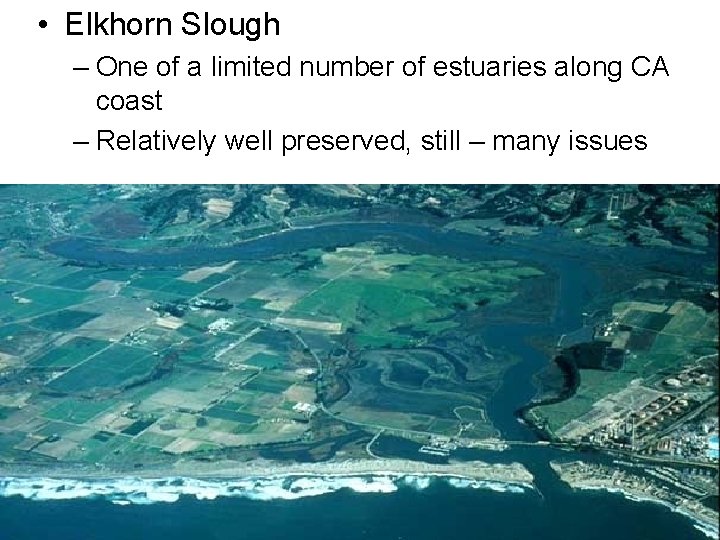  • Elkhorn Slough – One of a limited number of estuaries along CA