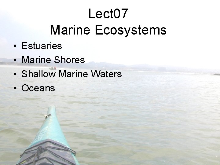 Lect 07 Marine Ecosystems • • Estuaries Marine Shores Shallow Marine Waters Oceans 