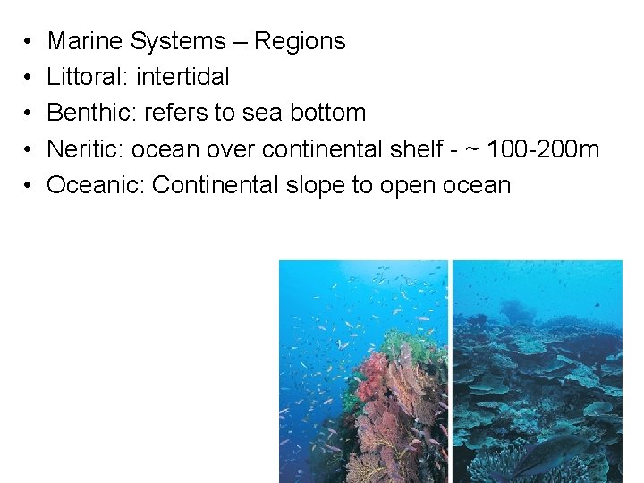  • • • Marine Systems – Regions Littoral: intertidal Benthic: refers to sea