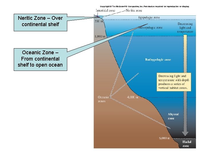Neritic Zone – Over continental shelf Oceanic Zone – From continental shelf to open