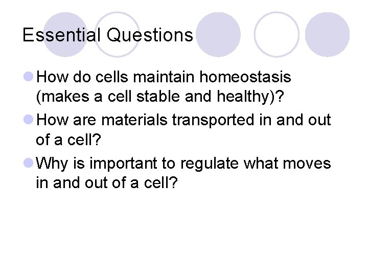 Essential Questions l How do cells maintain homeostasis (makes a cell stable and healthy)?