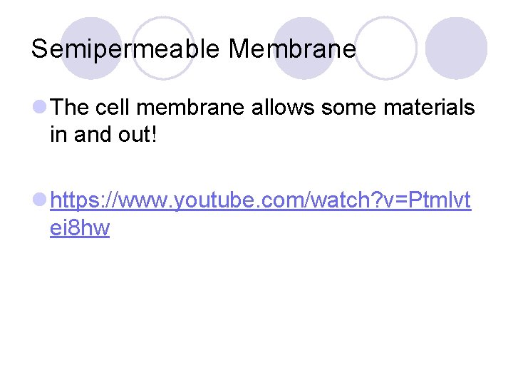 Semipermeable Membrane l The cell membrane allows some materials in and out! l https: