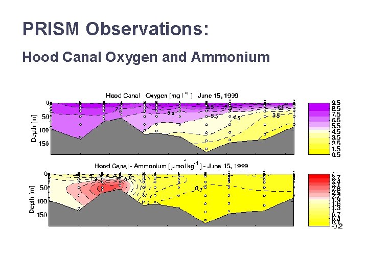 PRISM Observations: Hood Canal Oxygen and Ammonium 
