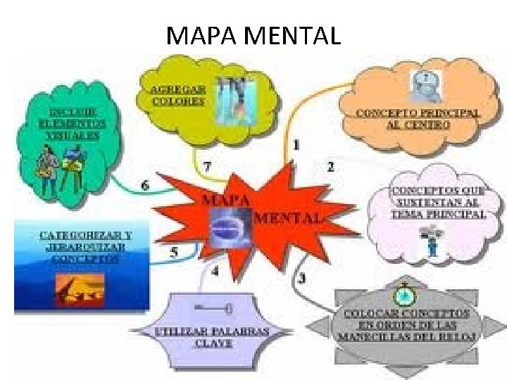 MAPA MENTAL 