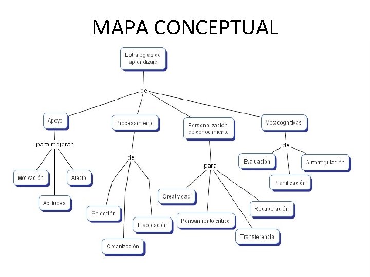 MAPA CONCEPTUAL 