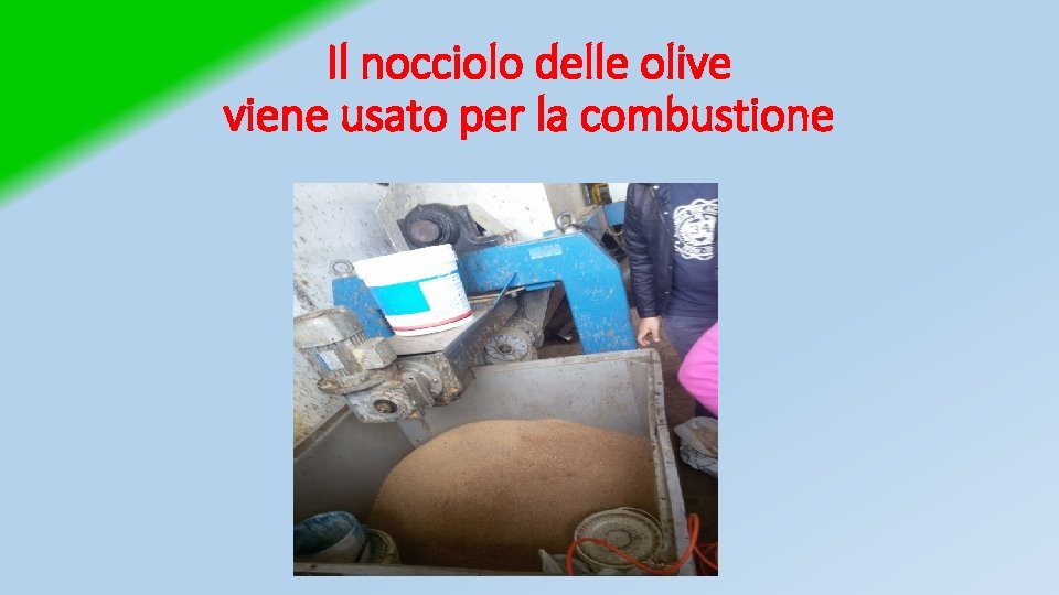 Il nocciolo delle olive viene usato per la combustione 