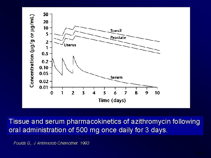 Tissue and serum pharmacokinetics of azithromycin following oral administration of 500 mg once daily