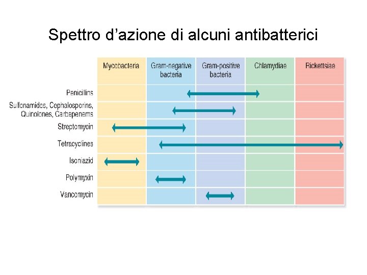 Spettro d’azione di alcuni antibatterici 