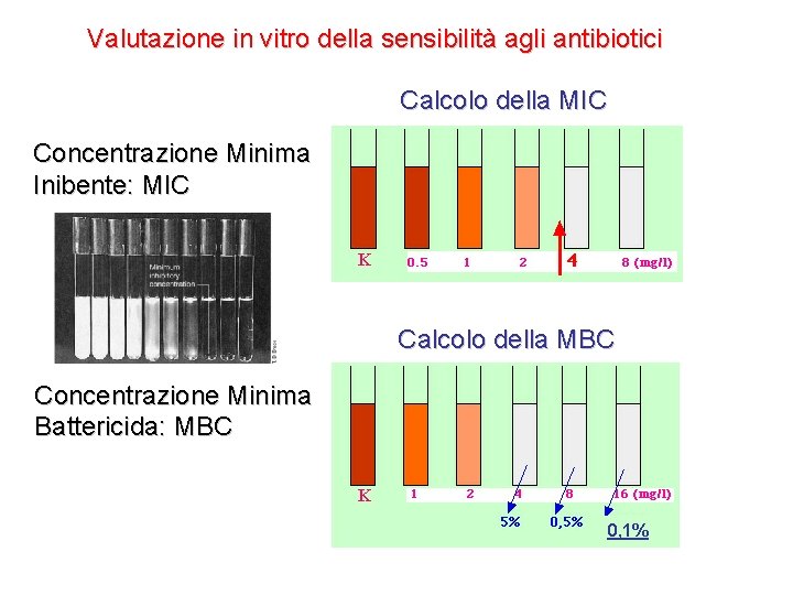 Valutazione in vitro della sensibilità agli antibiotici Calcolo della MIC Concentrazione Minima Inibente: MIC