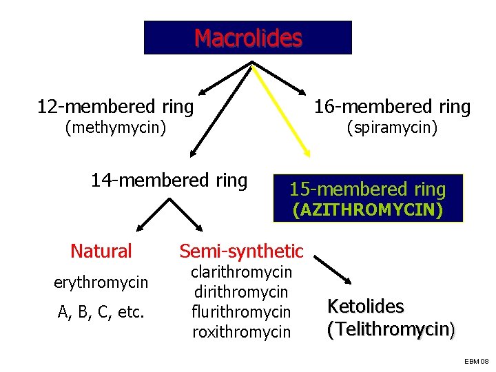 Macrolides 12 -membered ring 16 -membered ring (methymycin) 14 -membered ring (spiramycin) 15 -membered