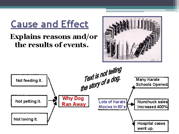 Cause and Effect Explains reasons and/or the results of events. Many Karate Schools Opened.