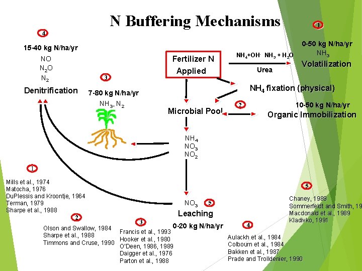 N Buffering Mechanisms 1 4 15 -40 kg N/ha/yr NO N 2 Denitrification 3