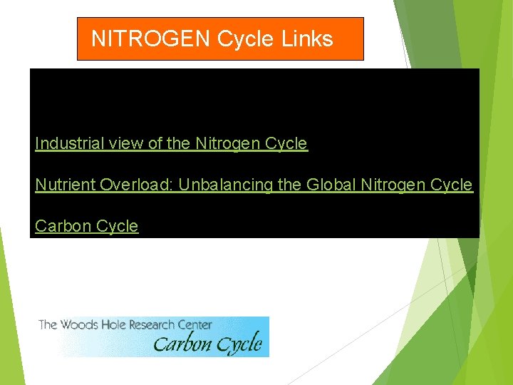 NITROGEN Cycle Links Industrial view of the Nitrogen Cycle Nutrient Overload: Unbalancing the Global