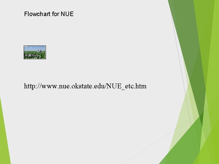 Flowchart for NUE http: //www. nue. okstate. edu/NUE_etc. htm 