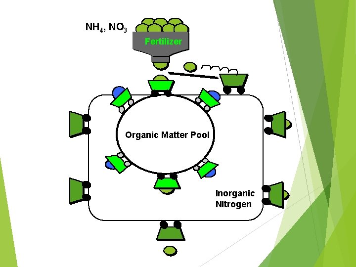 NH 4, NO 3 Fertilizer Organic Matter Pool Inorganic Nitrogen 