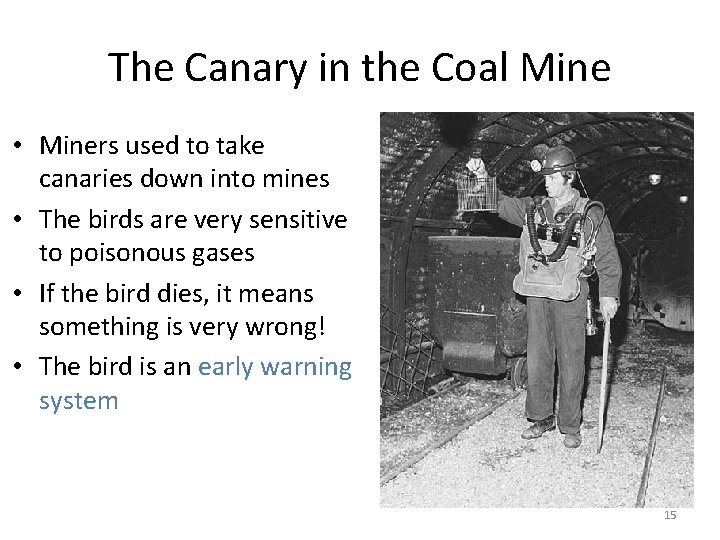 The Canary in the Coal Mine • Miners used to take canaries down into