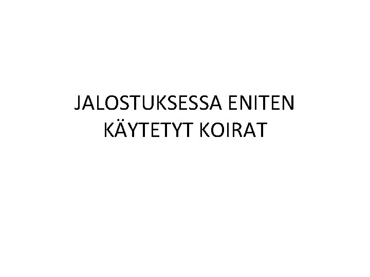 JALOSTUKSESSA ENITEN KÄYTETYT KOIRAT 