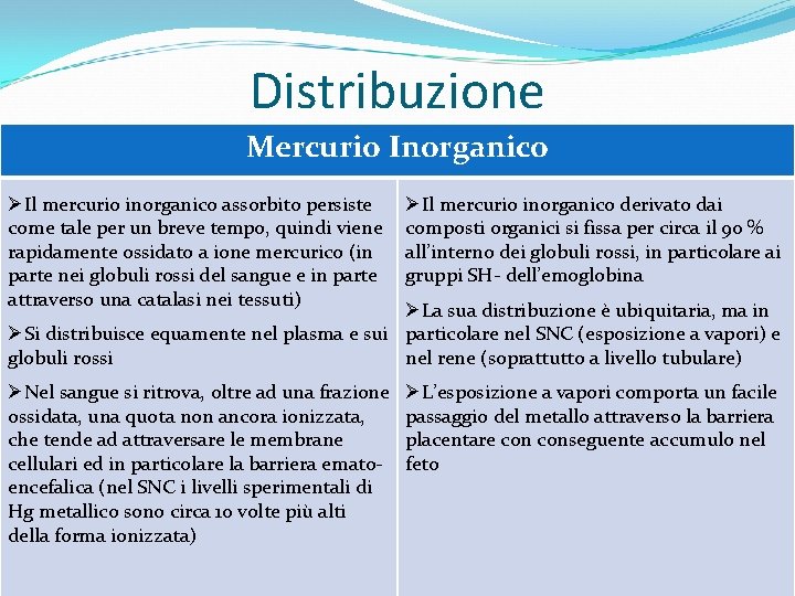 Distribuzione Mercurio Inorganico ØIl mercurio inorganico assorbito persiste come tale per un breve tempo,