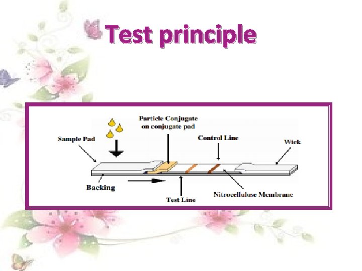 Test principle 