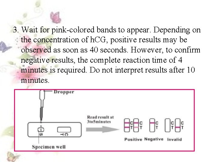 3. Wait for pink-colored bands to appear. Depending on the concentration of h. CG,