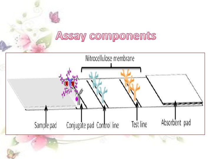 Assay components 