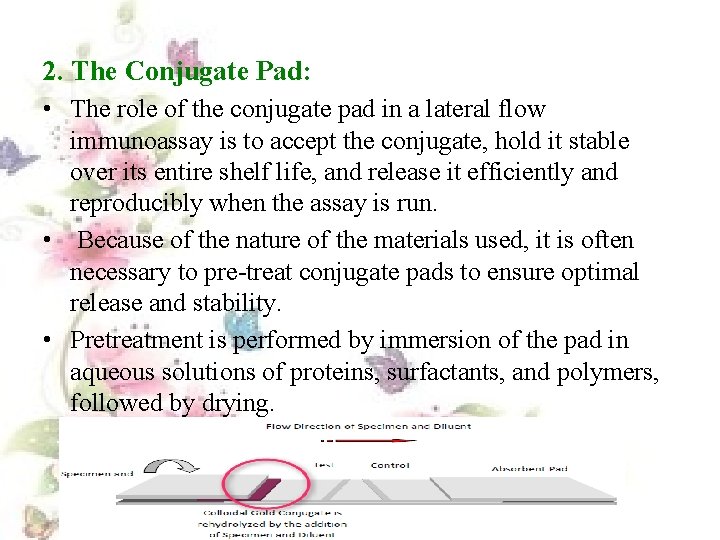 2. The Conjugate Pad: • The role of the conjugate pad in a lateral