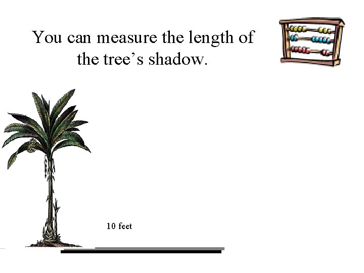 You can measure the length of the tree’s shadow. 10 feet You can measure the length of the tree’s shadow. 10 feet