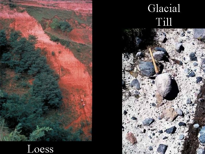 Glacial Sediments Glacial Till __________ Unsorted and unstratified sediments that collect directly from the