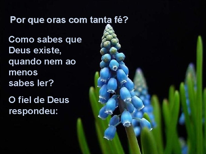 Por que oras com tanta fé? Como sabes que Deus existe, quando nem ao