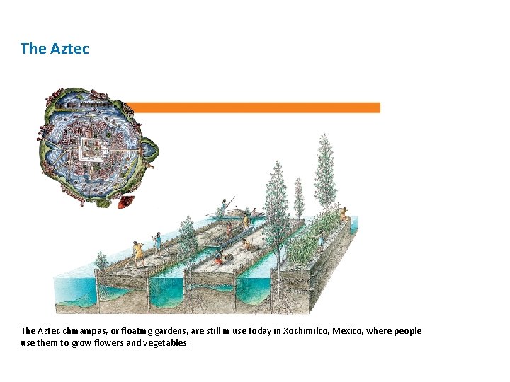 The Aztec chinampas, or floating gardens, are still in use today in Xochimilco, Mexico,
