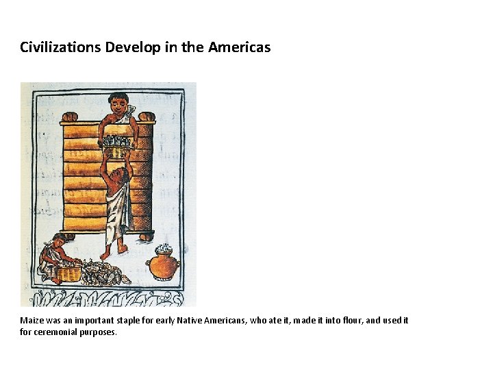 Civilizations Develop in the Americas Maize was an important staple for early Native Americans,