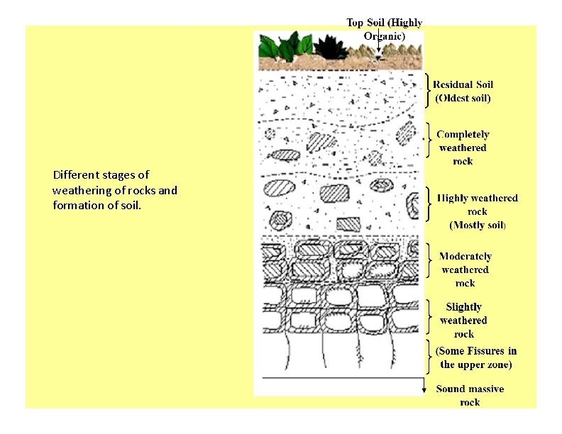 Different stages of weathering of rocks and formation of soil. Different stages of weathering of rocks and formation of soil.
