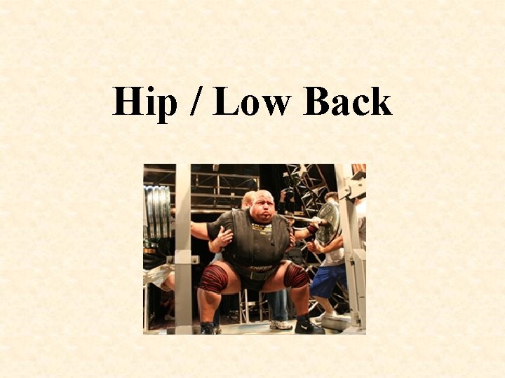 Hip / Low Back 