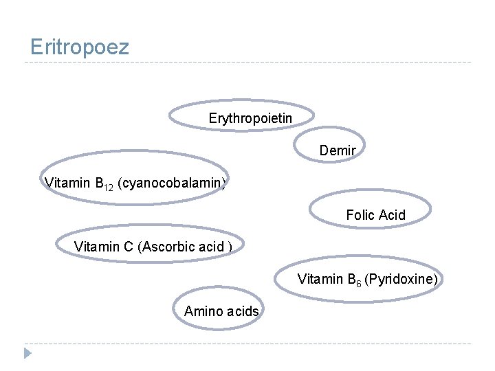 Eritropoez Erythropoietin Demir Vitamin B 12 (cyanocobalamin) Folic Acid Vitamin C (Ascorbic acid )