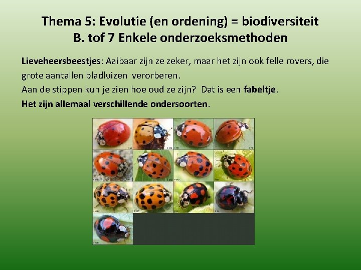 Thema 5: Evolutie (en ordening) = biodiversiteit B. tof 7 Enkele onderzoeksmethoden Lieveheersbeestjes: Aaibaar