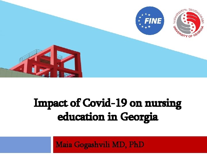 Impact of Covid19 on nursing education in Georgia