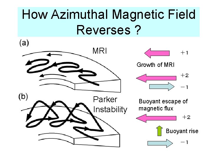 How Azimuthal Magnetic Field Reverses ? MRI ＋１ Growth of MRI ＋２ －１ Parker