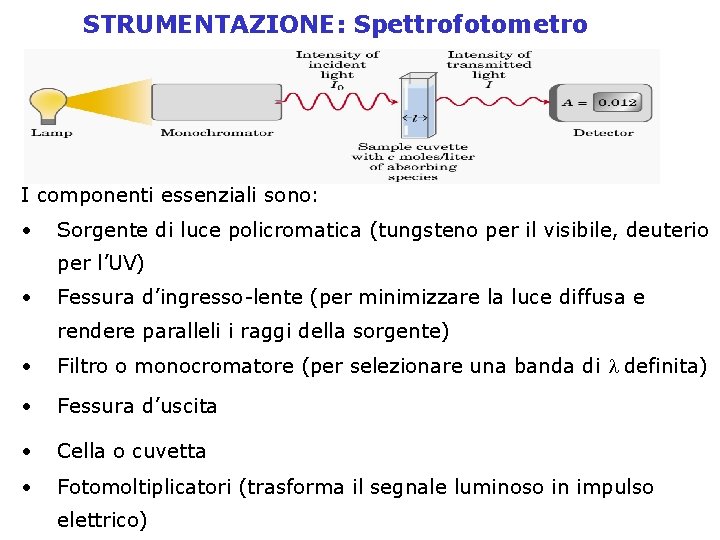 STRUMENTAZIONE: Spettrofotometro I componenti essenziali sono: • Sorgente di luce policromatica (tungsteno per il