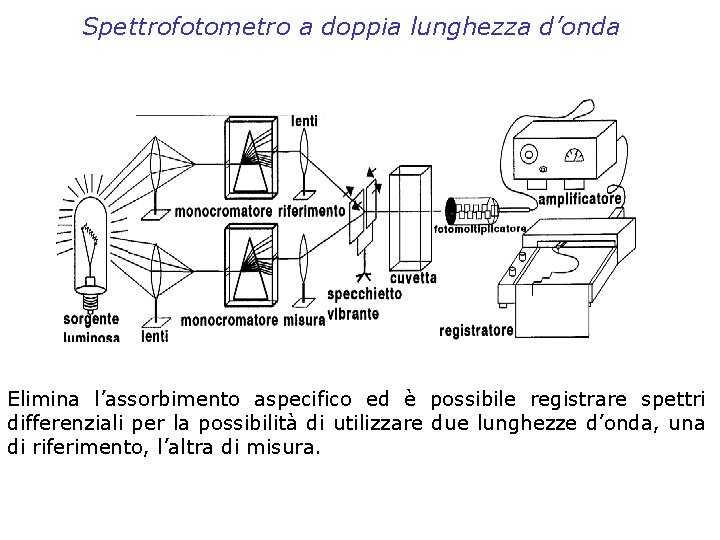 Spettrofotometro a doppia lunghezza d’onda Elimina l’assorbimento aspecifico ed è possibile registrare spettri differenziali