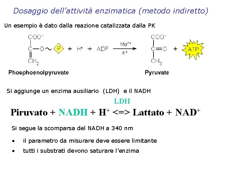 Dosaggio dell’attività enzimatica (metodo indiretto) Un esempio è dato dalla reazione catalizzata dalla PK