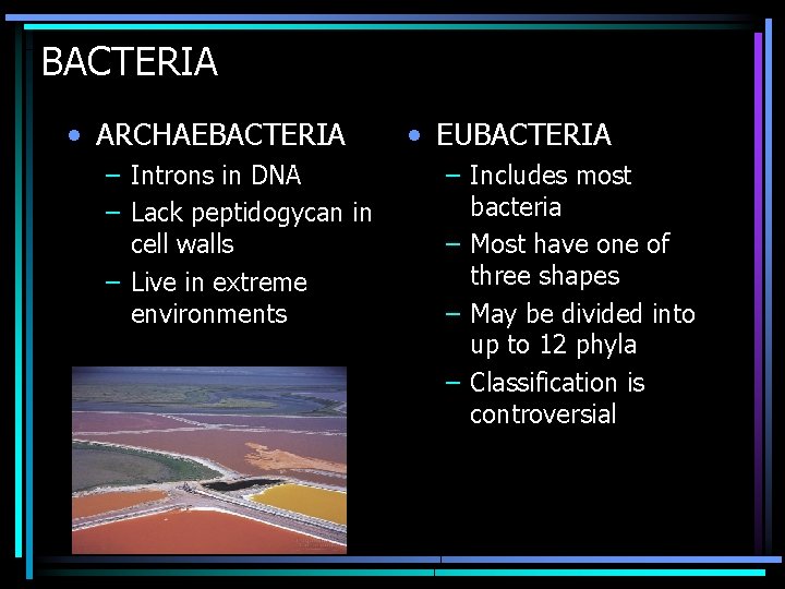 BACTERIA • ARCHAEBACTERIA – Introns in DNA – Lack peptidogycan in cell walls –