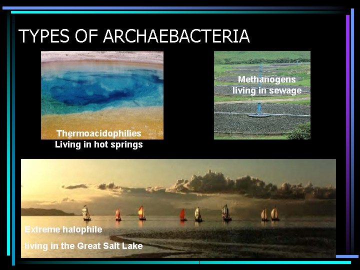 TYPES OF ARCHAEBACTERIA Methanogens living in sewage Thermoacidophilies Living in hot springs Extreme halophile