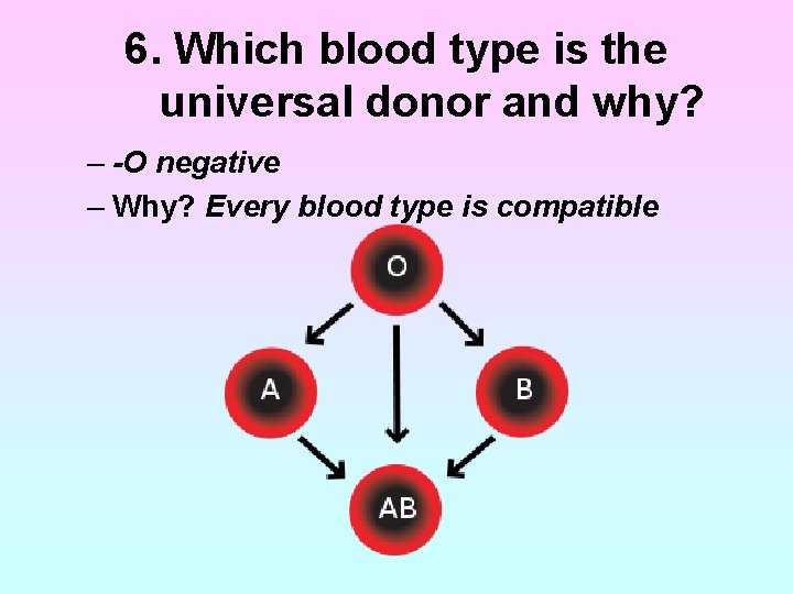 6. Which blood type is the universal donor and why? – -O negative – 6. Which blood type is the universal donor and why? – -O negative –