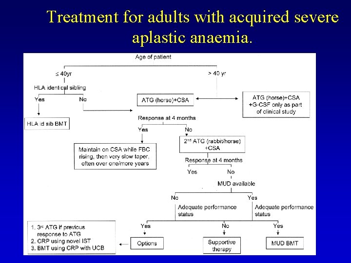 Treatment for adults with acquired severe aplastic anaemia. 