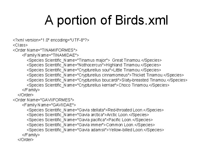 A portion of Birds. xml <? xml version="1. 0" encoding="UTF-8"? > <Class> <Order Name="TINAMIFORMES">