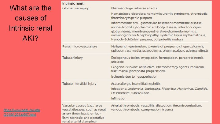 What are the causes of Intrinsic renal AKI? https: //www. aafp. org/afp /2019/1201/p 687.