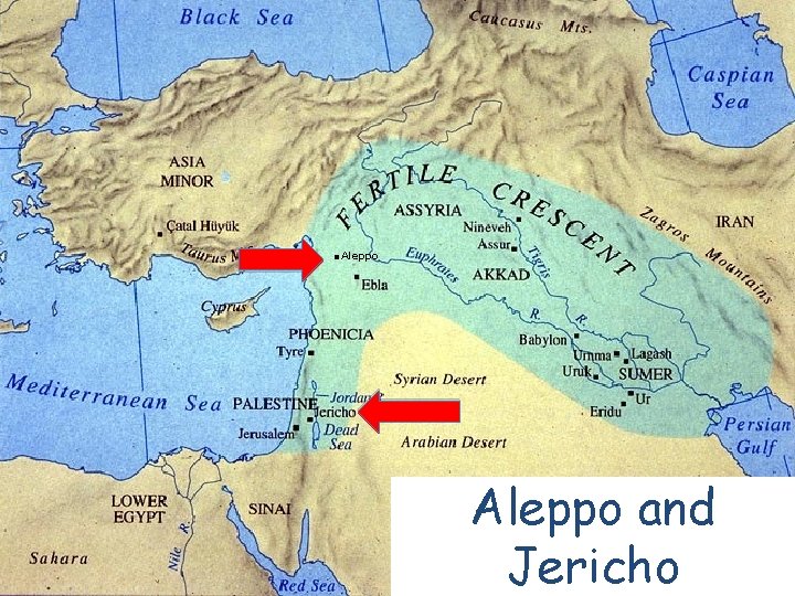 . Aleppo and Jericho . Aleppo and Jericho