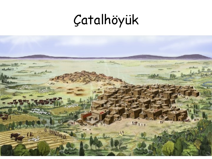 Çatalhöyük Çatalhöyük