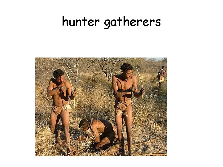 hunter gatherers hunter gatherers