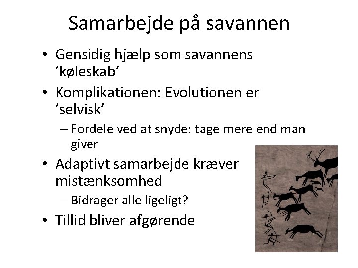 Samarbejde på savannen • Gensidig hjælp som savannens ’køleskab’ • Komplikationen: Evolutionen er ’selvisk’